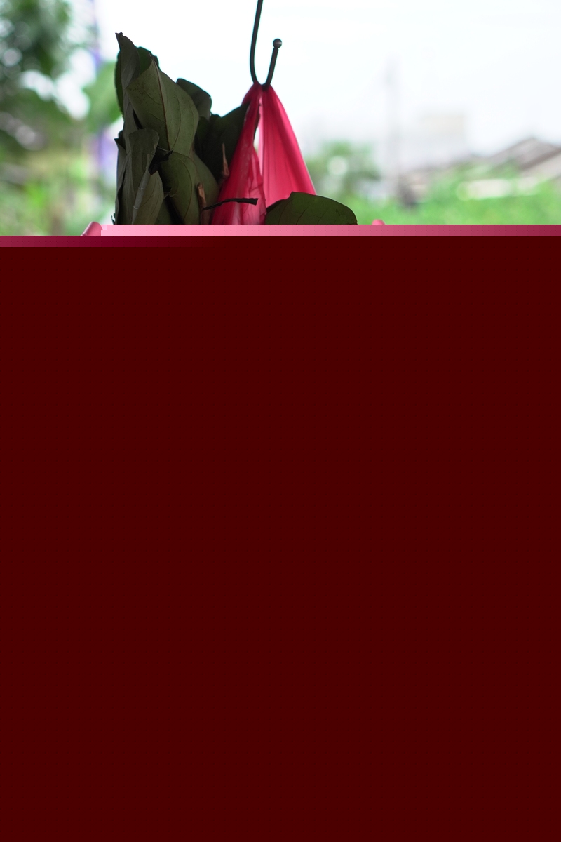 泉州长富牛奶最新价格 泉州长富牛奶最新价格